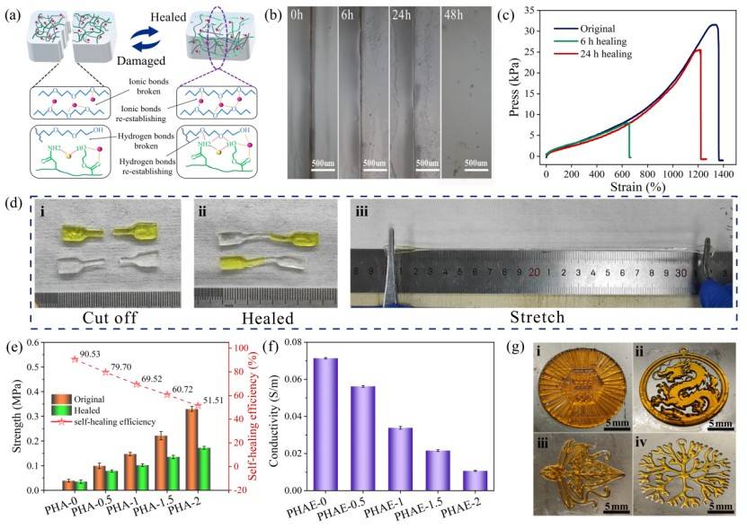 1740021341224094.jpg 微信圖片_20250220110449(1).jpg