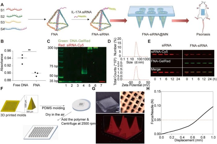 1741078795582229.jpg 微信圖片_20250304165631.jpg
