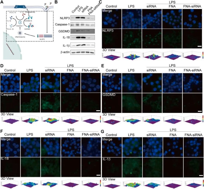 1741078842814714.jpg 微信圖片_20250304165650.jpg
