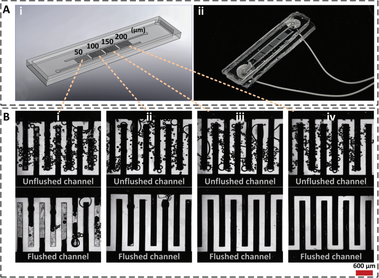 1743558755316504.png 微信圖片_20250402095019.png