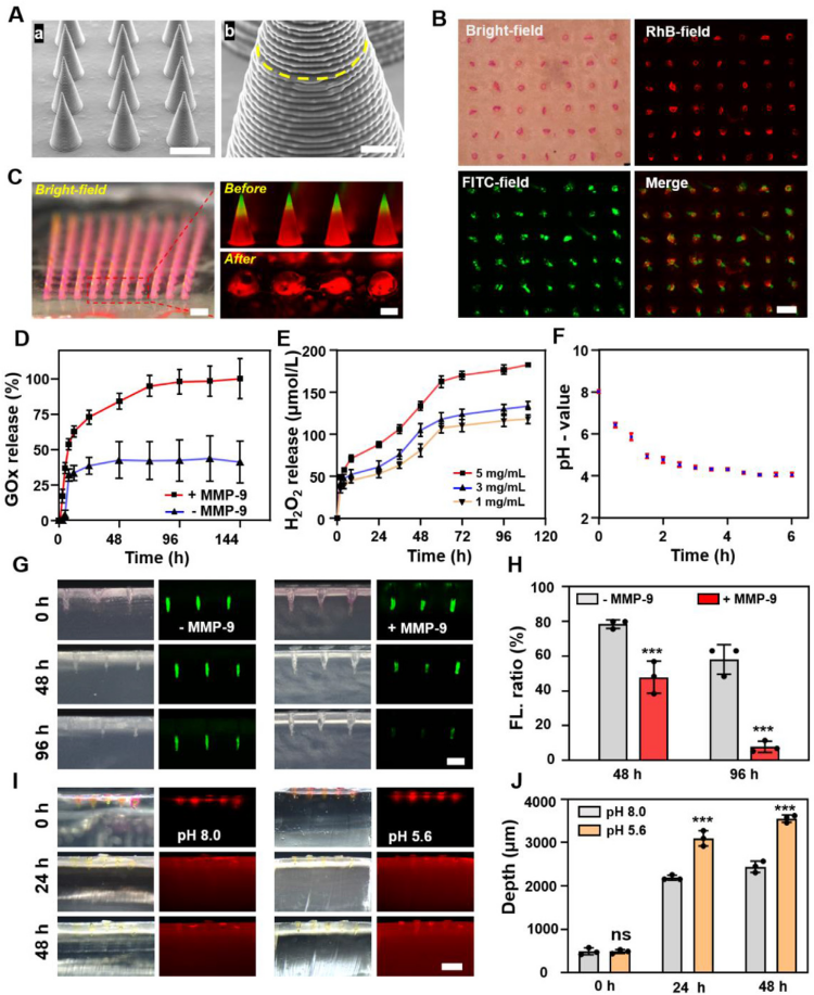 1744016301660146.png 微信圖片_20250407165652.png