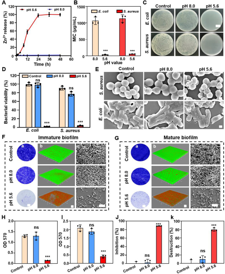 1744016313945415.png 微信圖片_20250407165703.png