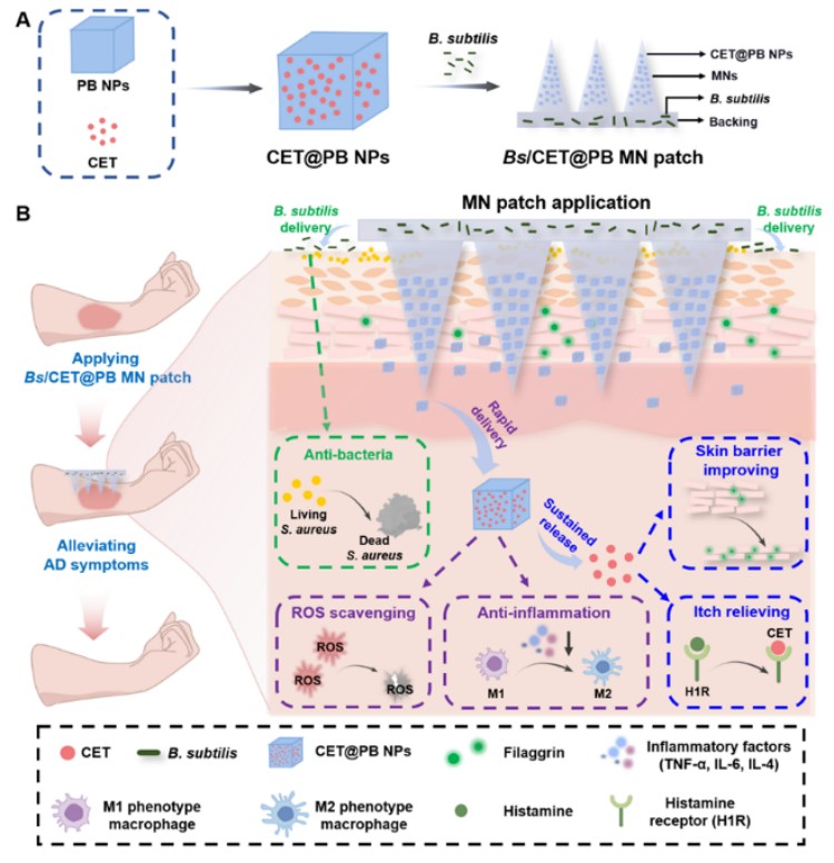 1744100070191316.jpg 微信圖片_20250408161240.jpg