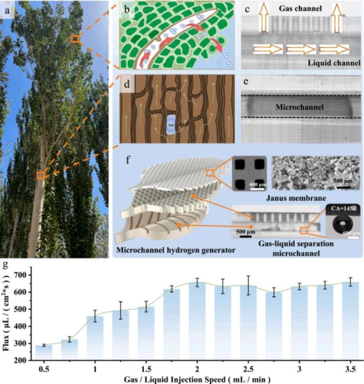 1744179389303133.jpg 微信圖片_20250409141043.jpg