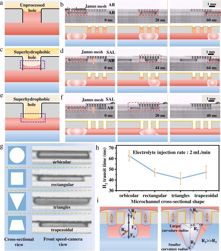 1744179413515852.jpg 微信圖片_20250409141111.jpg