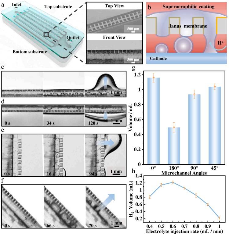 1744179429437139.jpg 微信圖片_20250409141115.jpg