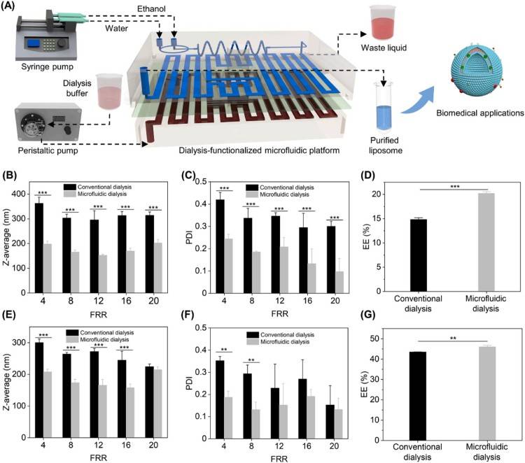 1744274724763095.jpg 微信圖片_20250410164231.jpg