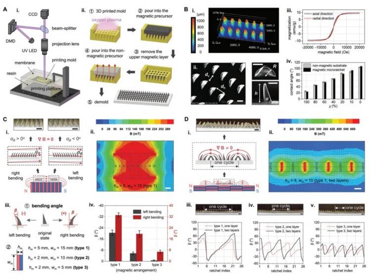 1744362838701650.jpg 企業微信截圖_17443623997836.jpg