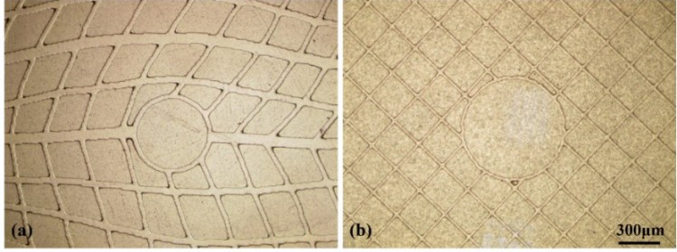 1744795409819196.jpg 微信圖片_20250416172121.jpg