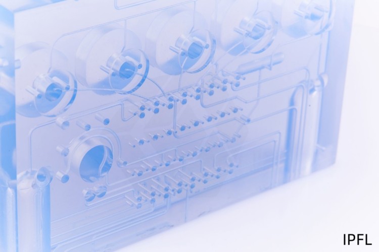 1744796191107316.jpg 微信圖片_20250416172804.jpg