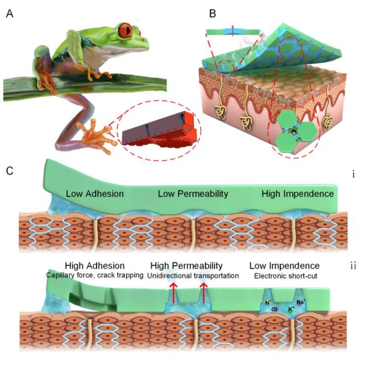 1745374186516453.jpg 微信圖片_20250423100910.jpg