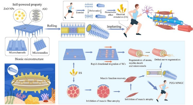 1745377665410221.jpg 微信圖片_20250423110324.jpg