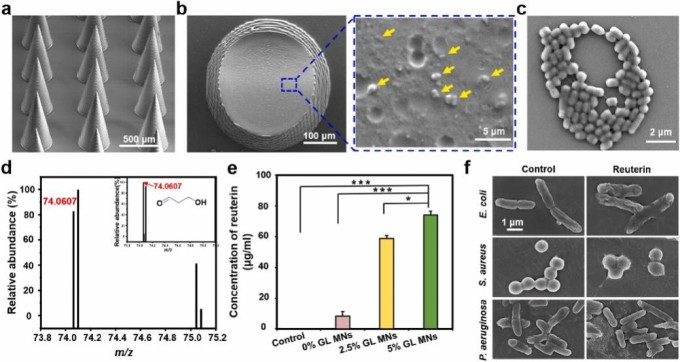 1745896760783834.jpg 微信圖片_20250429111828.jpg