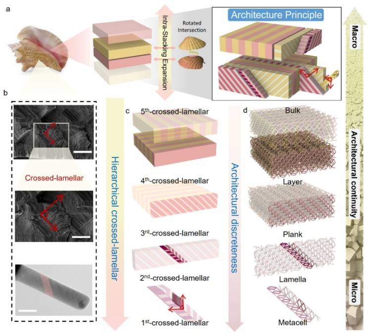 1745910716352193.jpg 微信圖片_20250429151001.jpg
