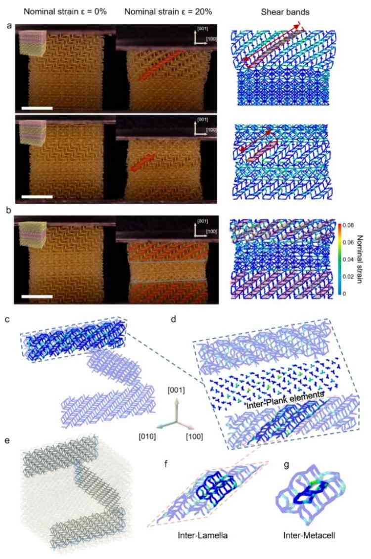 1745910766932037.jpg 微信圖片_20250429151014.jpg