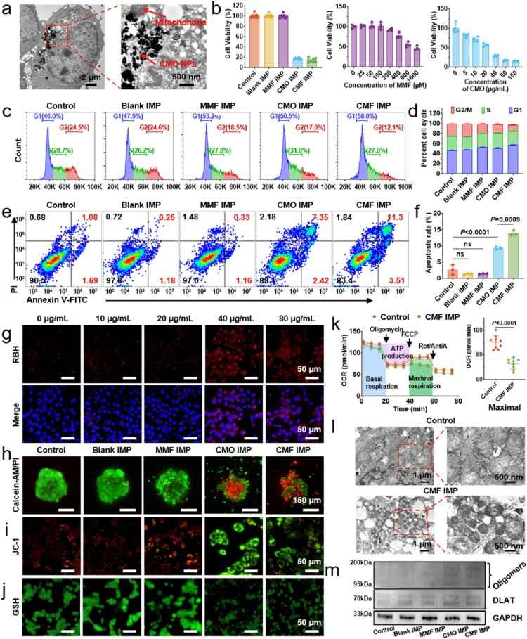 1754274787581263.jpg 微信圖片_2025-08-04_103122_784.jpg