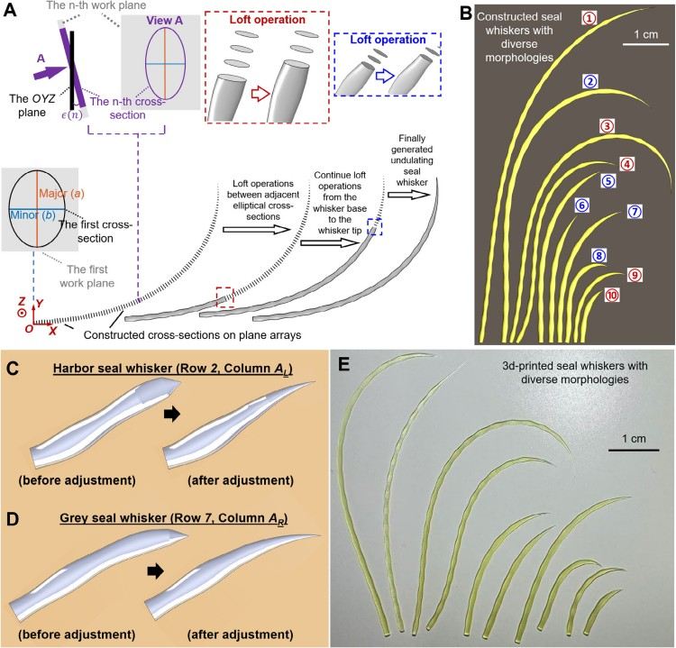 1754891075338021.jpg 微信圖片_2025-08-11_133034_492.jpg