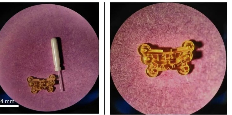 1757309605740538.jpg 微信圖片_2025-09-08_132107_534.jpg