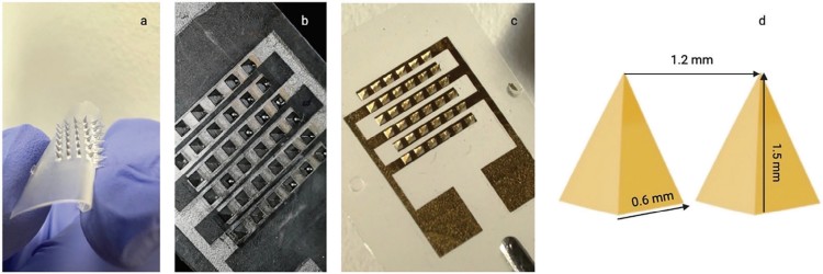 1757918401351439.jpg 微信圖片_2025-09-15_143659_742.jpg