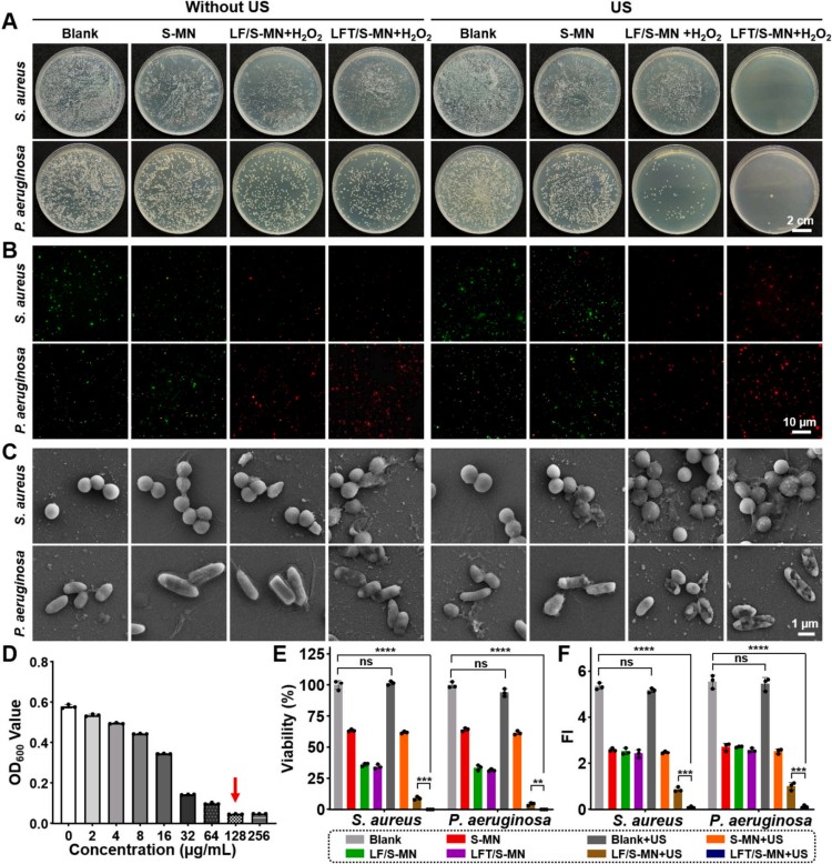 1764559796411327.jpg 微信圖片_2025-12-01_112607_602.jpg