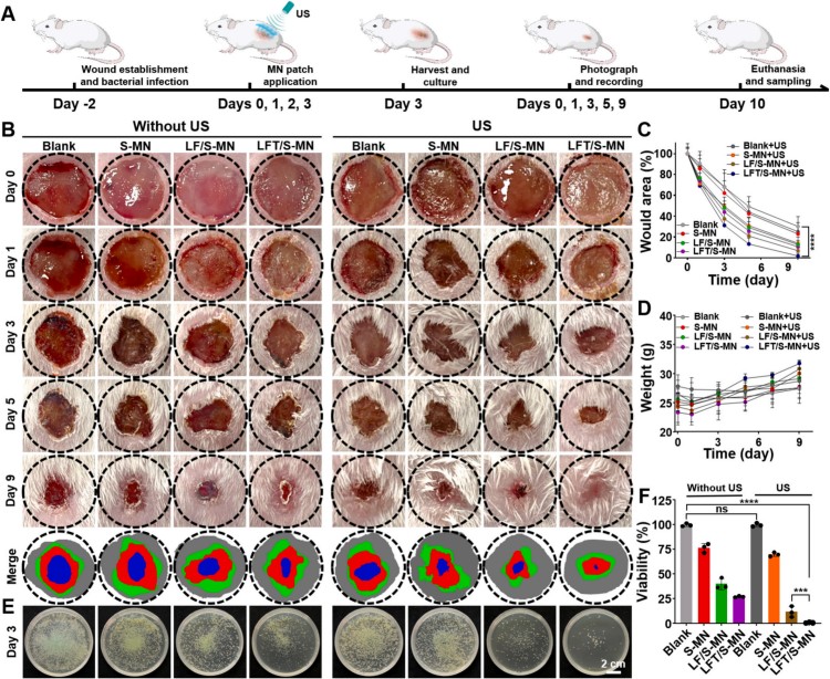 1764559808883585.jpg 微信圖片_2025-12-01_112611_082.jpg
