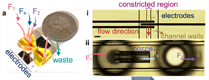 1777018757918033.png microfluid1(1).png