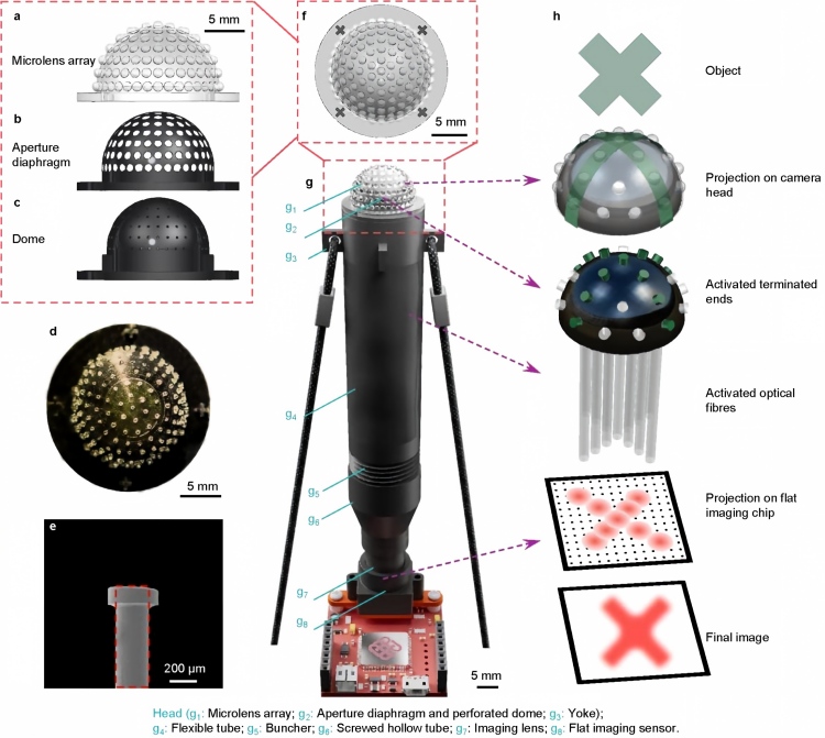 microlens array.jpg